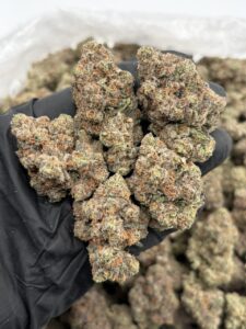Blue Jelly Weed Strain blue jelly weed strain