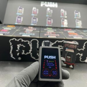 push 2g disposable with screen
