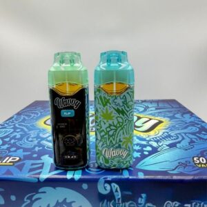 wavvy extracts 2g flip disposable