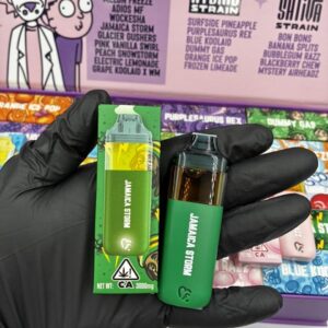 favorite the return of 3g disposable