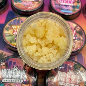 whole melt extracts vice city edition