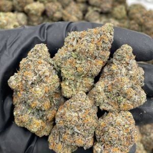 biscotti weed strain