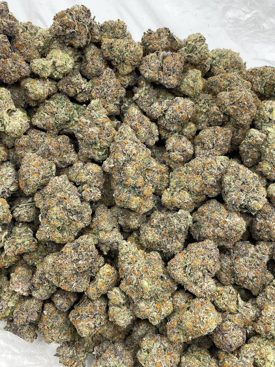 biscotti weed strain biscotti weed strain